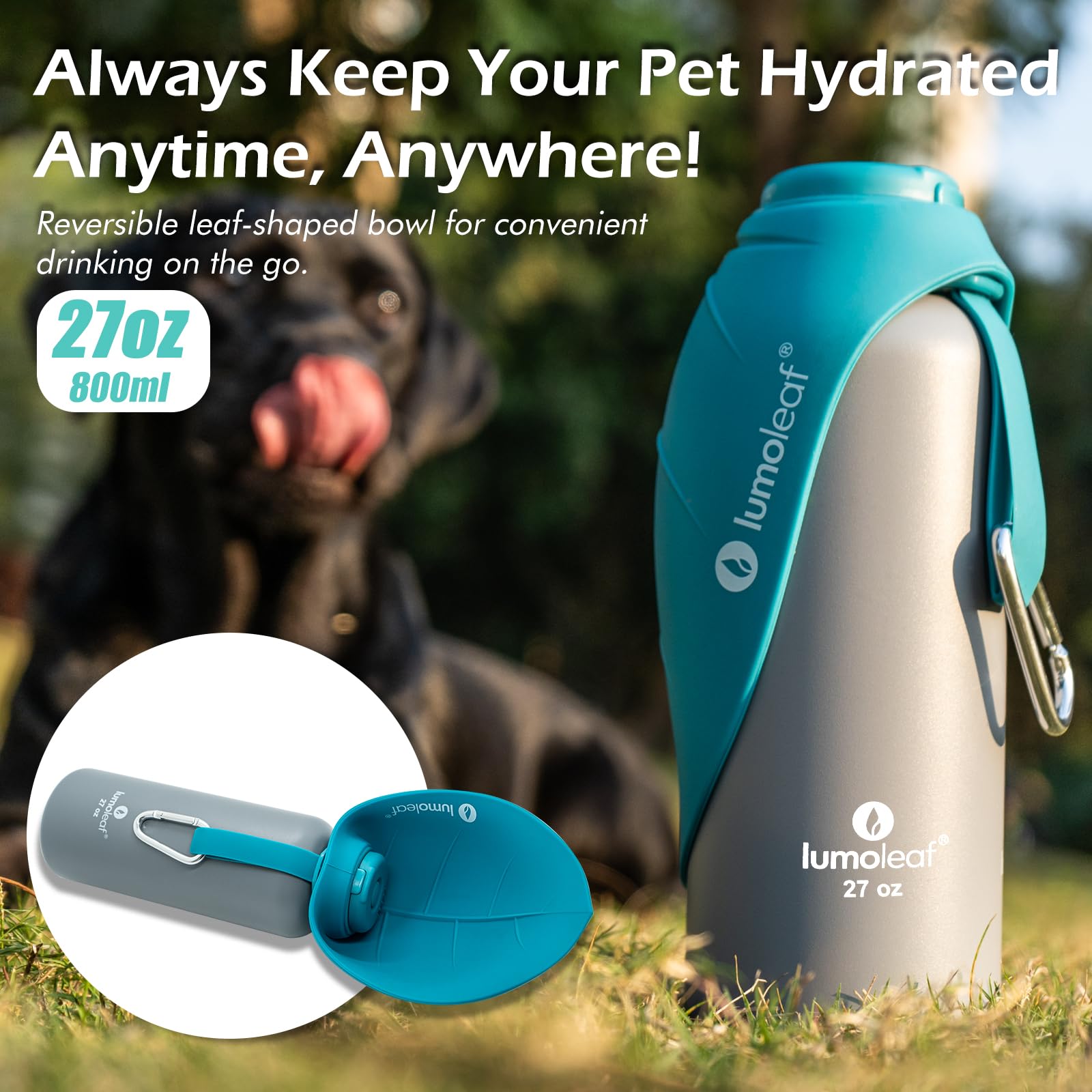 LumoLeaf en usage avec chien buvant, assure hydratation facile en déplacement
