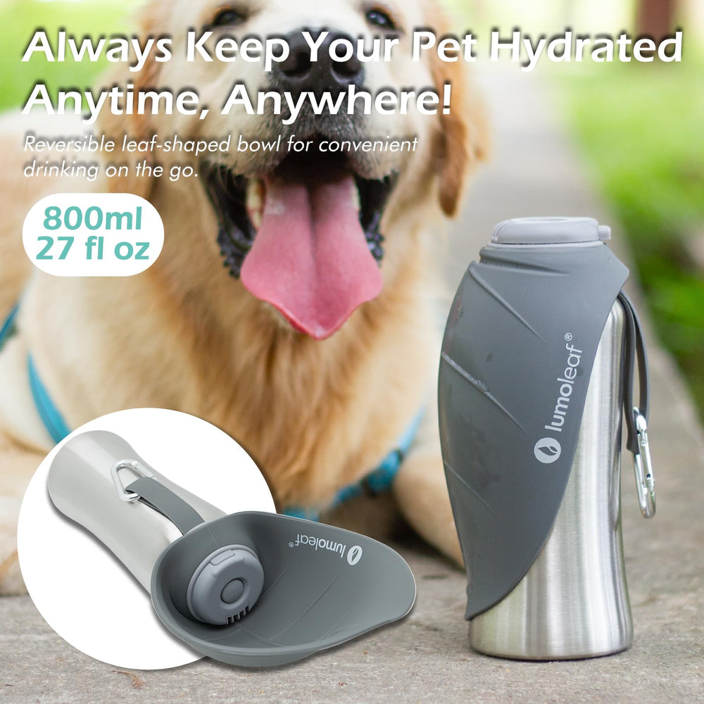LumoLeaf en usage lors d'une promenade hydrate le chien rapidement
