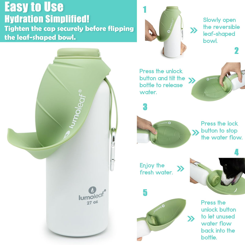 Ouverture large LumoLeaf facilitant nettoyage et ajout de glaçons
