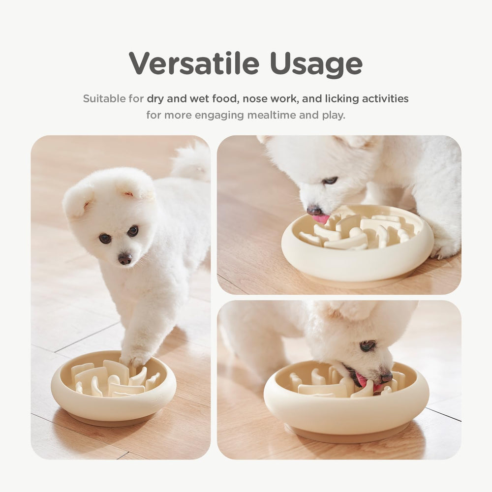 Lunabear gamelle utilisée par un chien réduisant la vitesse d’alimentation