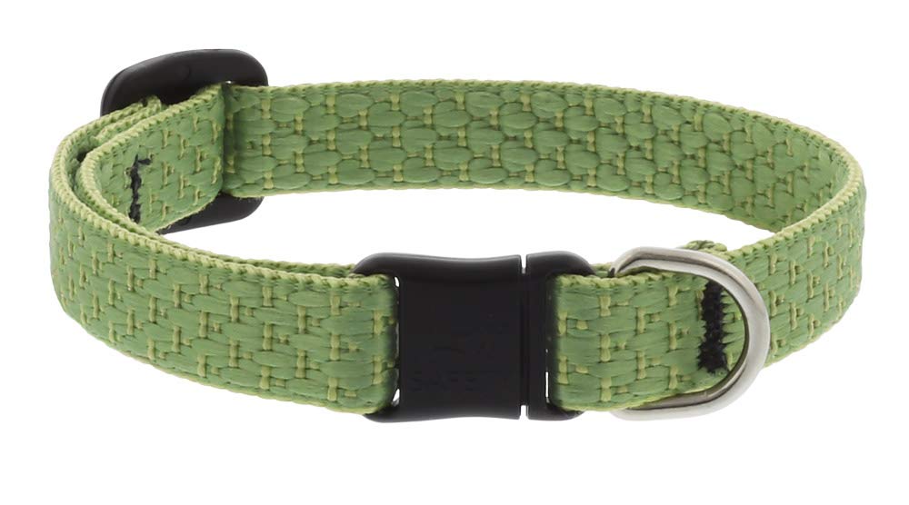 LupinePet collier Moss vue de face montrant boucles breakaway et confort