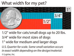 LupinePet laisse en utilisation avec petit chien illustrant contrôle et confort