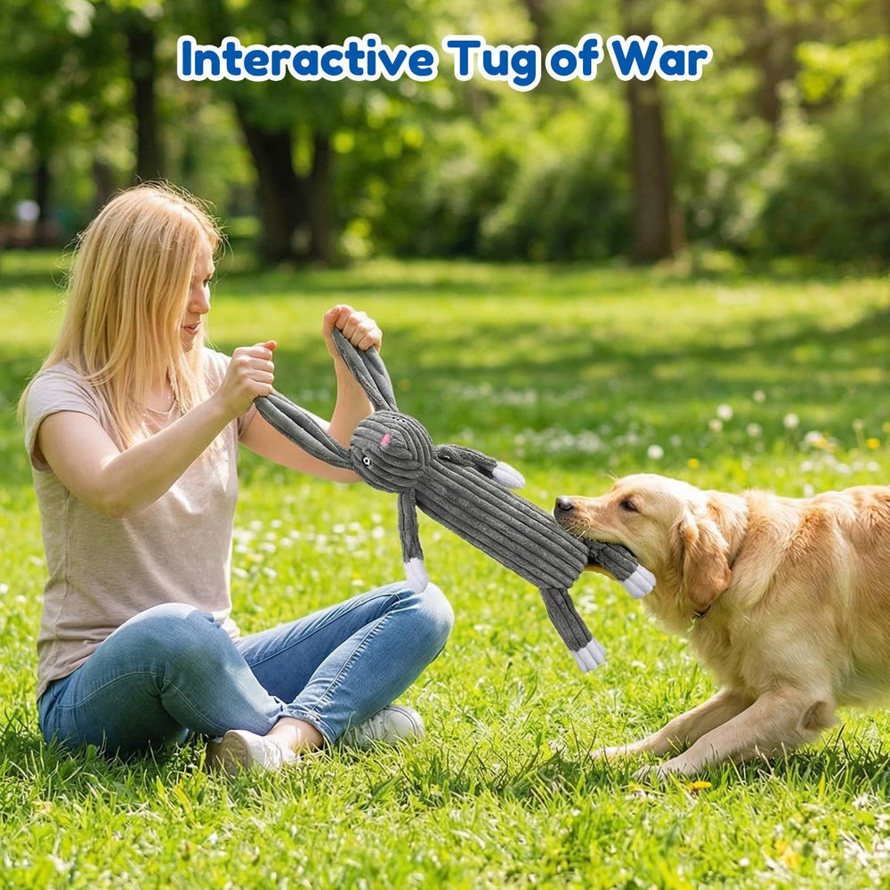 Luudoogs aperçu du couineur intérieur pour attirer le chien et divertir