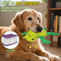 Luudoogs chien jouant au rapport démontrant stimulation et exercice