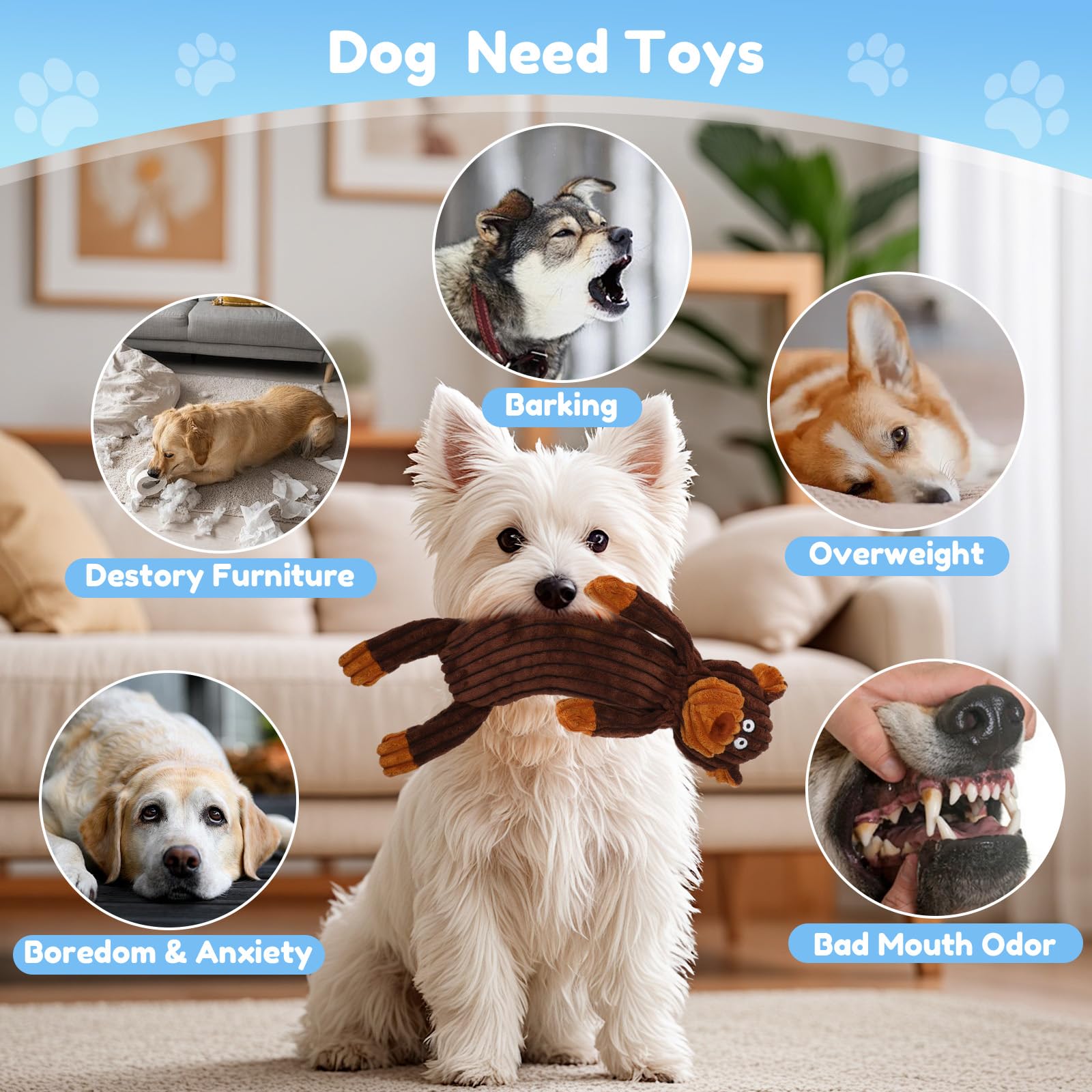 Luudoogs assortiment d'animaux variés pour choix et stimulation visuelle