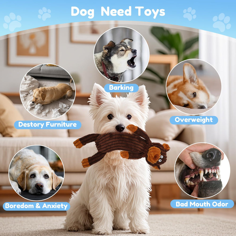 Luudoogs assortiment d'animaux variés pour choix et stimulation visuelle