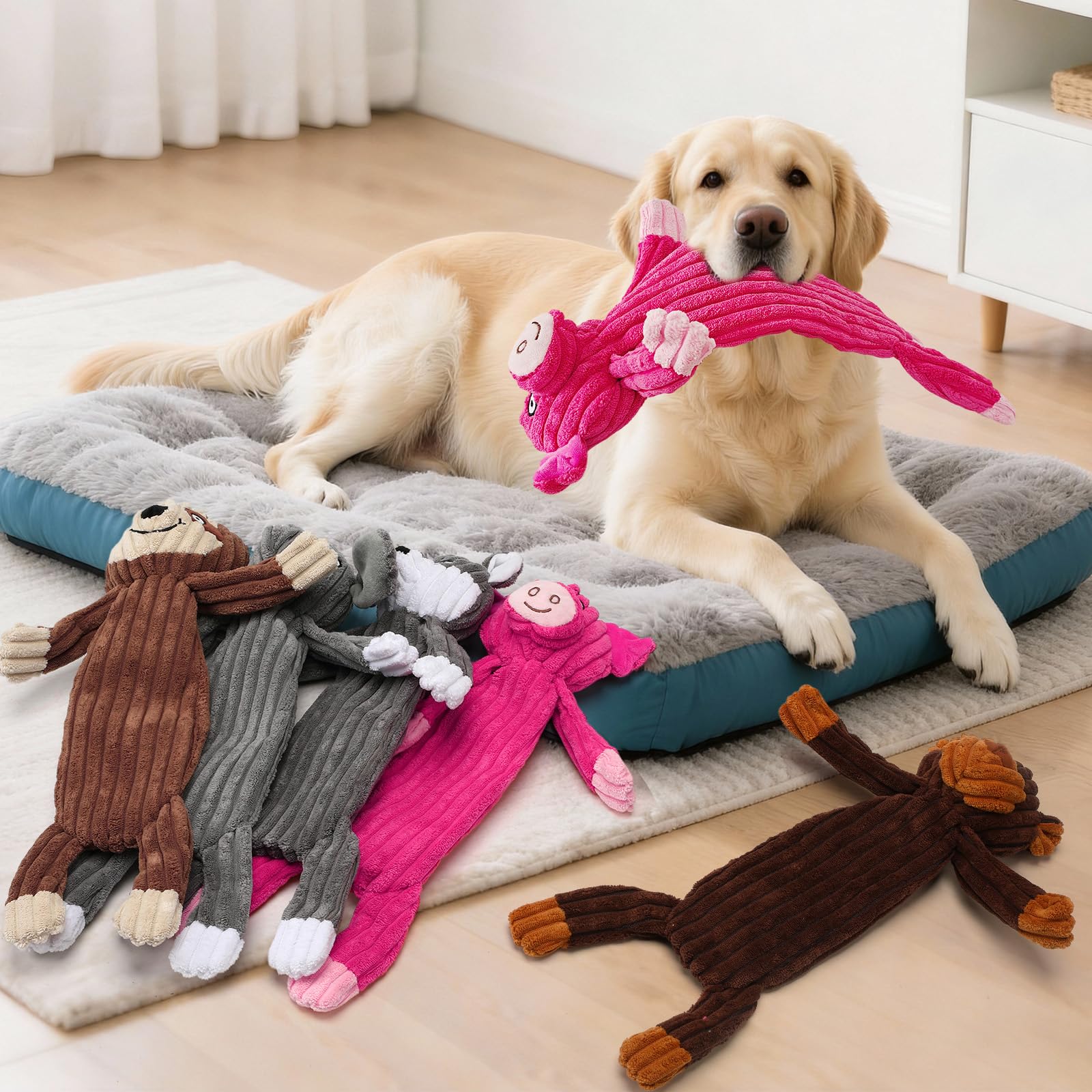 Luudoogs propriétaire jouant avec chien pour renforcer le lien