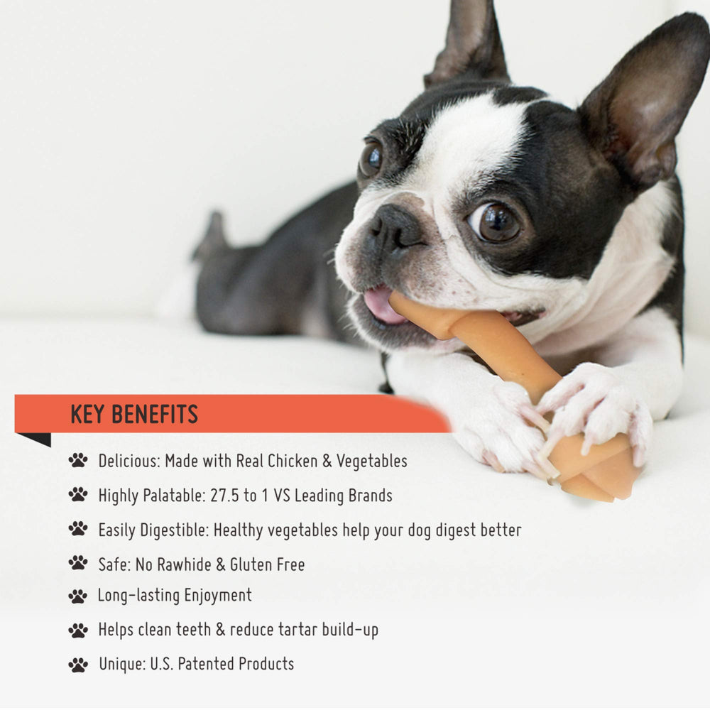 LuvChew chiot mâchant un os, favorise mastication saine et divertissement