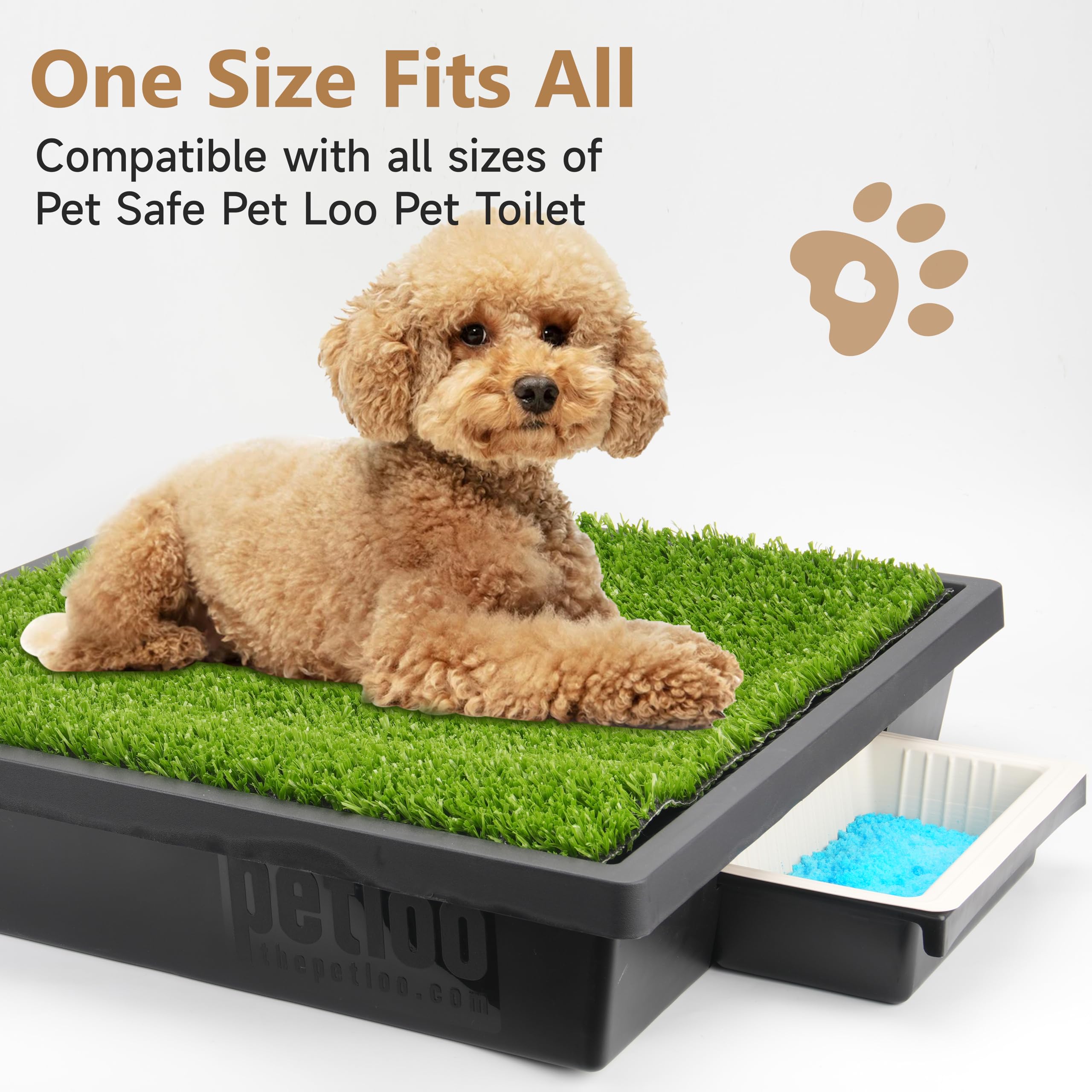 LUVCOSY poudre absorbante 200 g en boîte, gélifie l'urine pour propreté