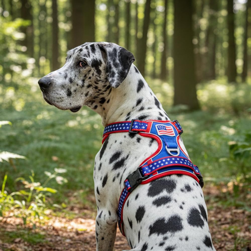 LUVMOJO boucles latérales faciles à clipser pour enfiler sans lever le chien