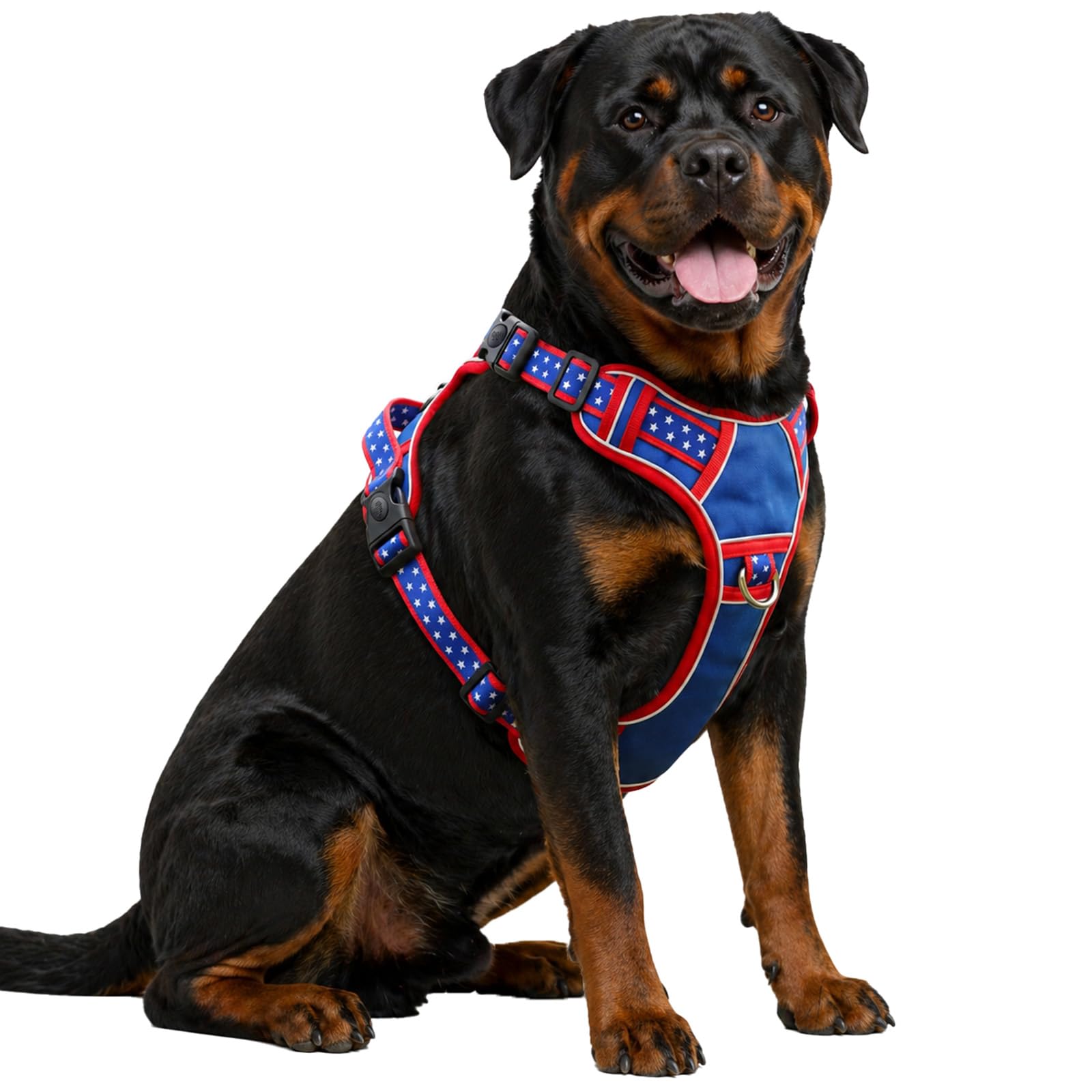 LUVMOJO harnais XXL face avant montrant maintien sécurisé pour grand chien