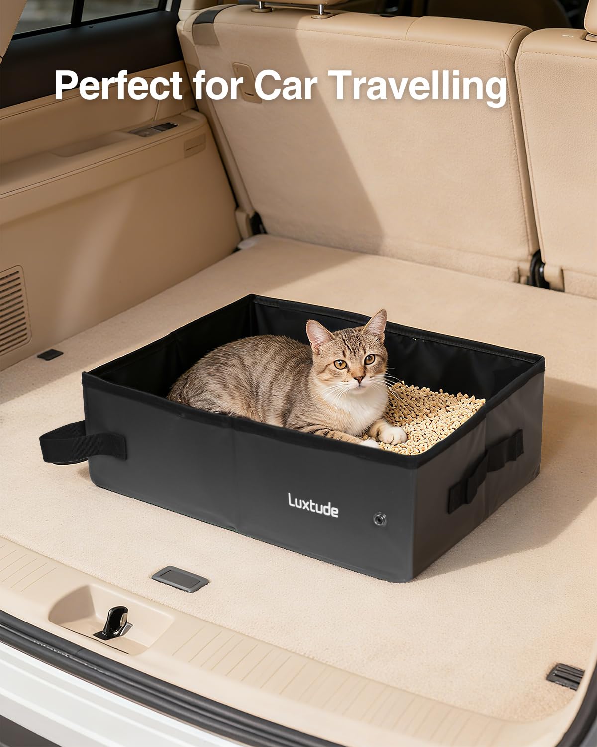 Luxtude scène camping avec chat solution hygiénique pour sorties