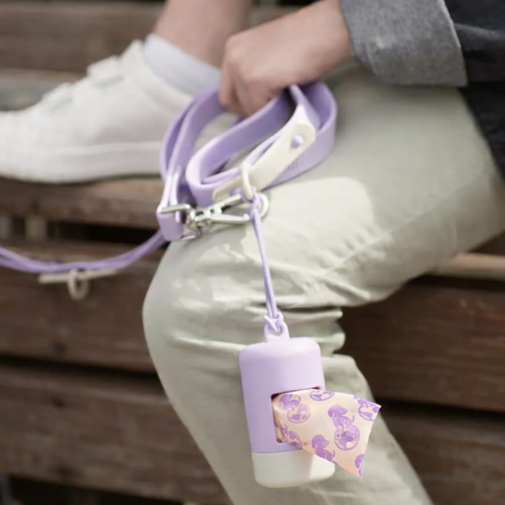 LuxurYou sangle élastique attachée à une laisse pour fixation sûre