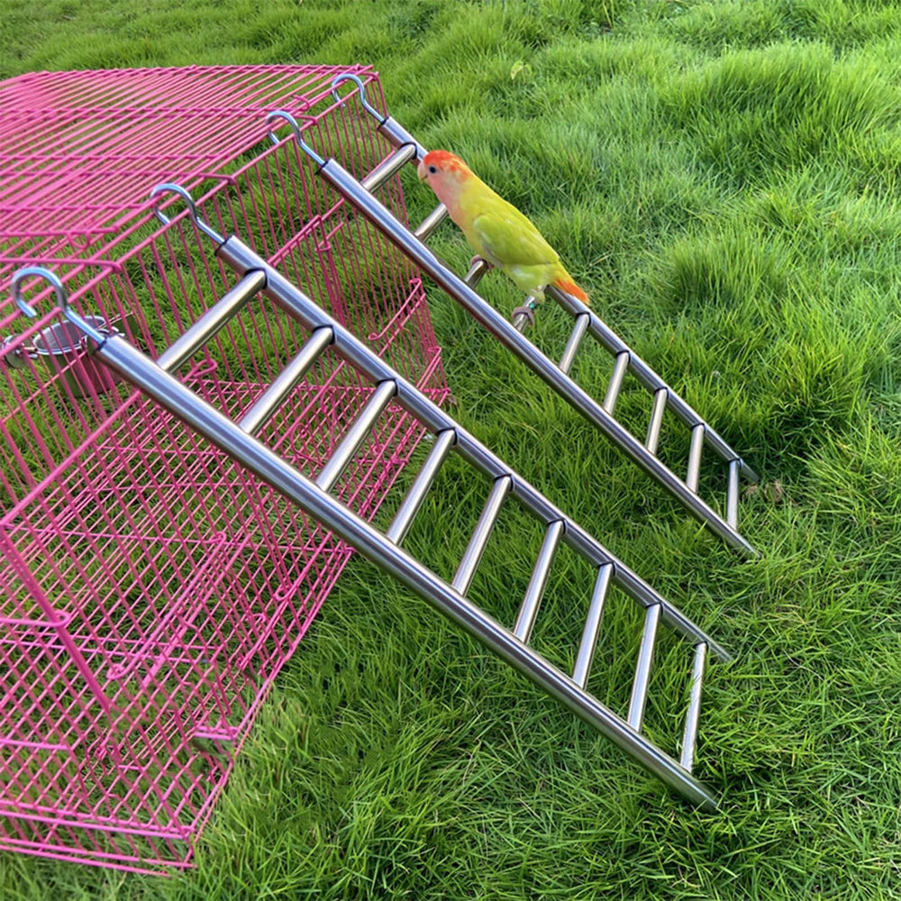LWINGFLYER comparaison taille avec règle montrant dimensions pratiques