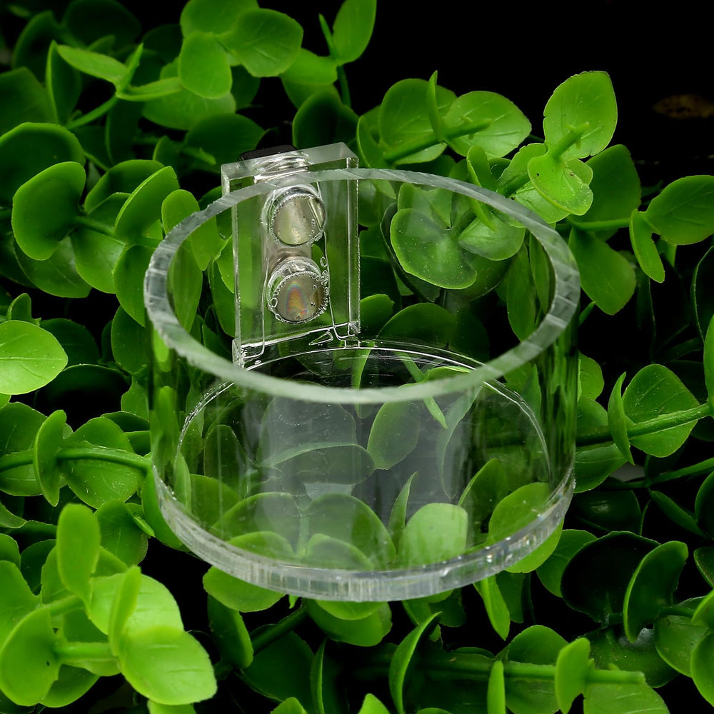 LYL LEYOULAND coupelle utilisée dans terrarium offrant points d’alimentation pratiques
