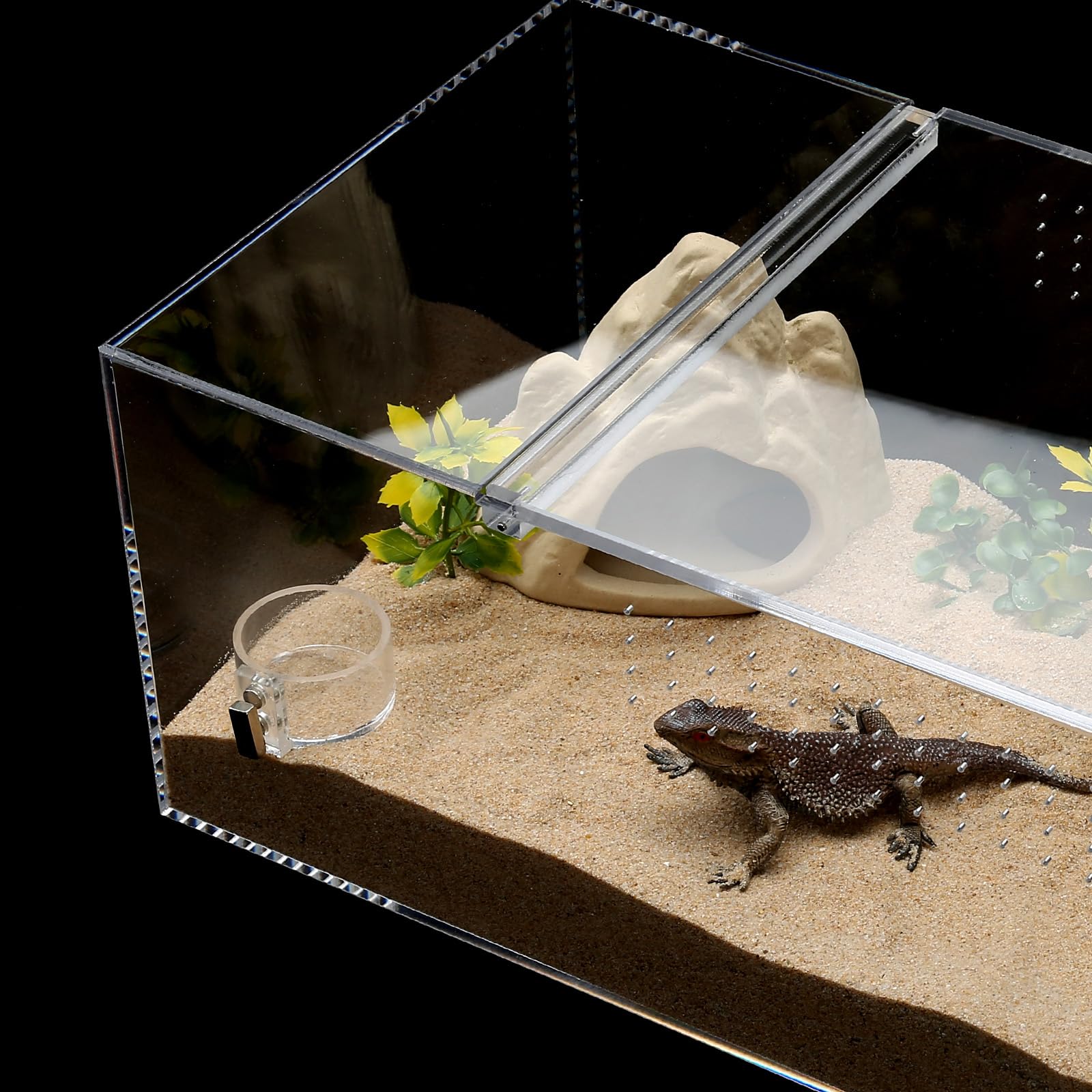 LYL LEYOULAND profil indiquant dimensions mini adaptées aux petits arthropodes