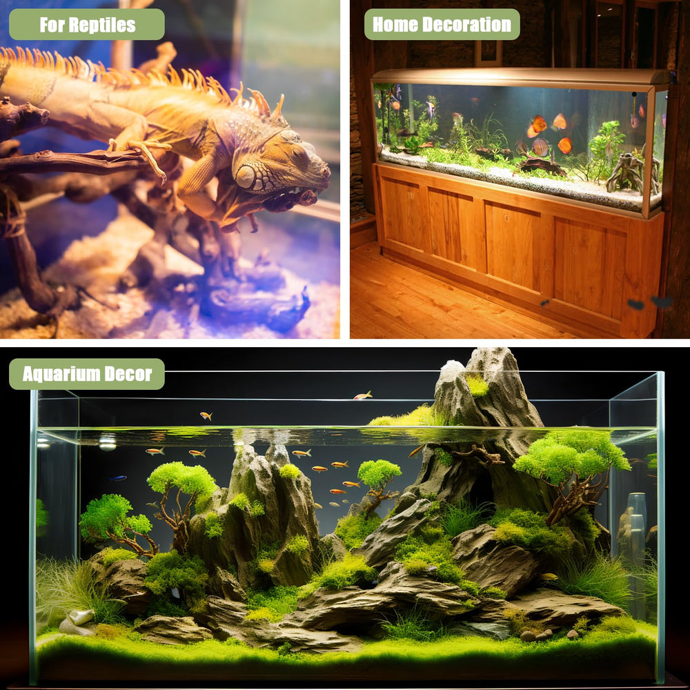 LYPHARD AQUARIUMS comparaison taille montrant longueurs 15–25 cm pratiques