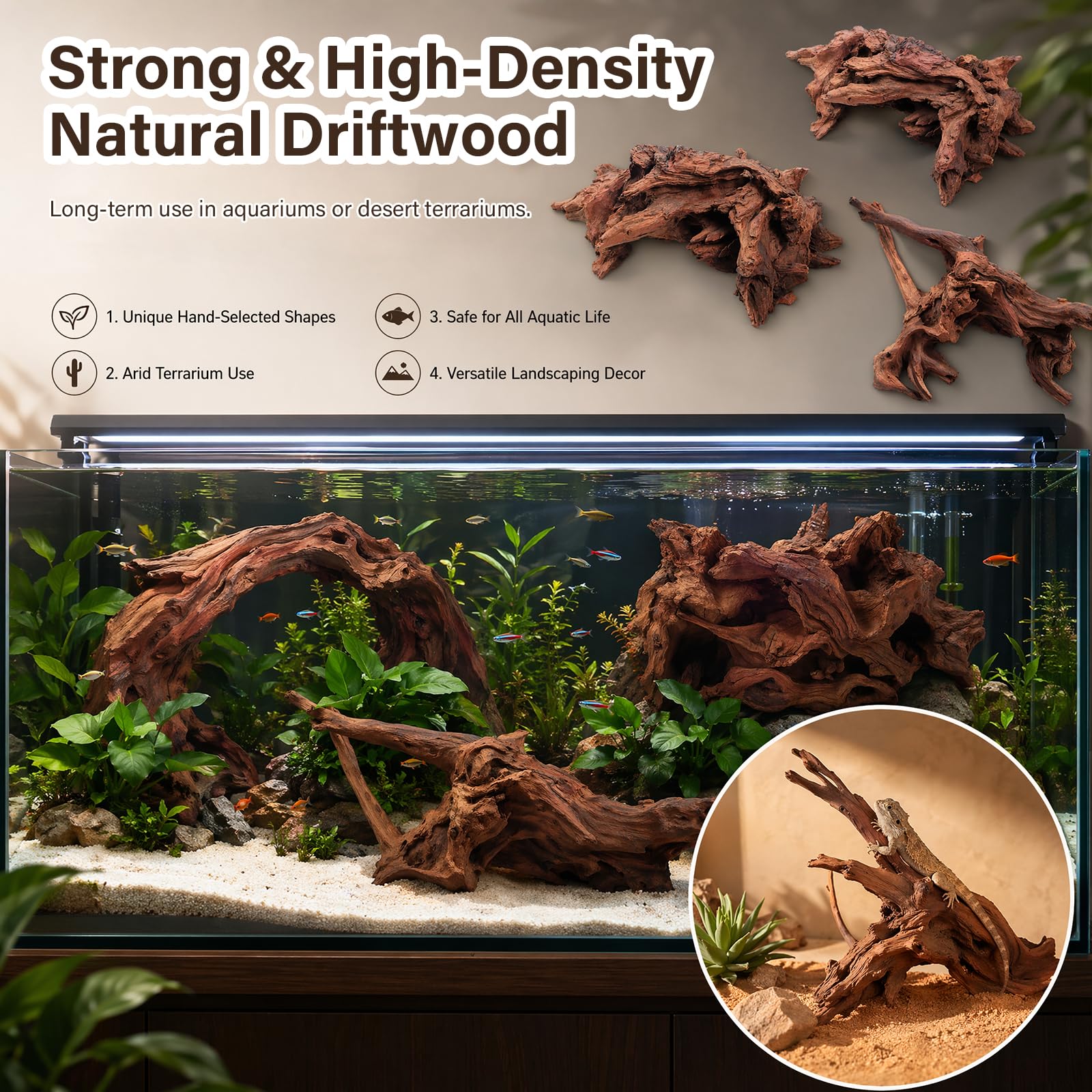LYPHARD AQUARIUMS bois immergé dans aquarium offrant cachette pour poissons