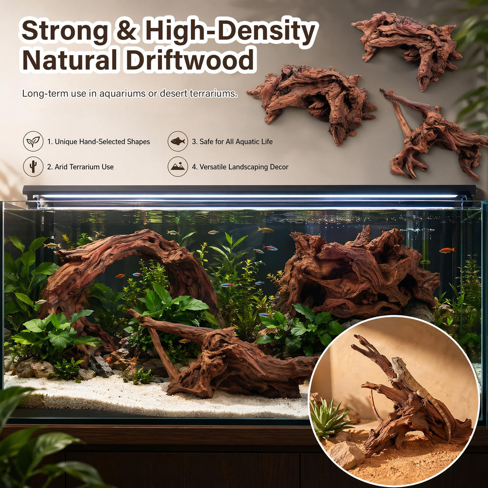 LYPHARD AQUARIUMS bois immergé dans aquarium offrant cachette pour poissons