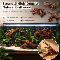 LYPHARD AQUARIUMS bois immergé dans aquarium offrant cachette pour poissons