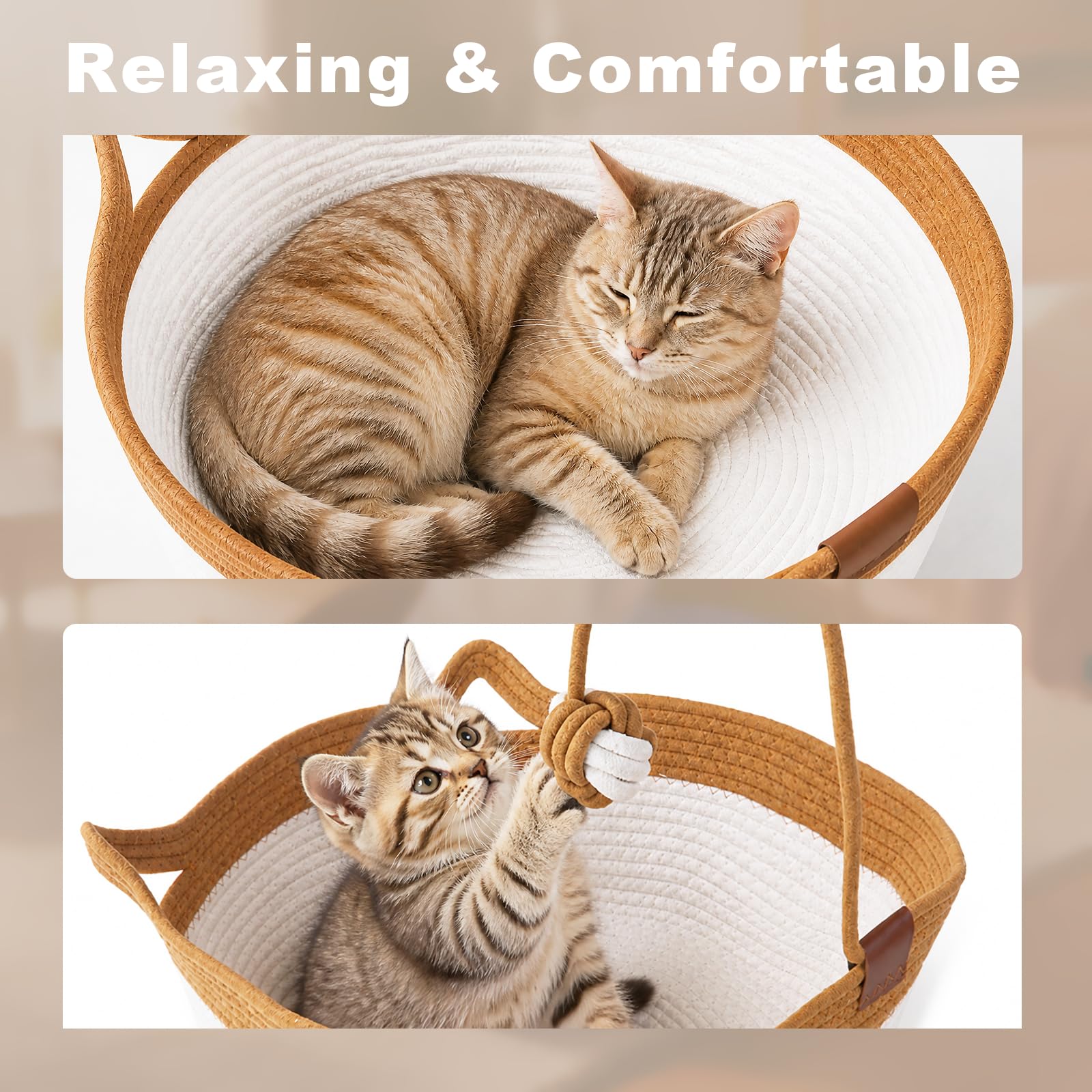 Lyra Stone comparaison taille montrant échelle pour animaux