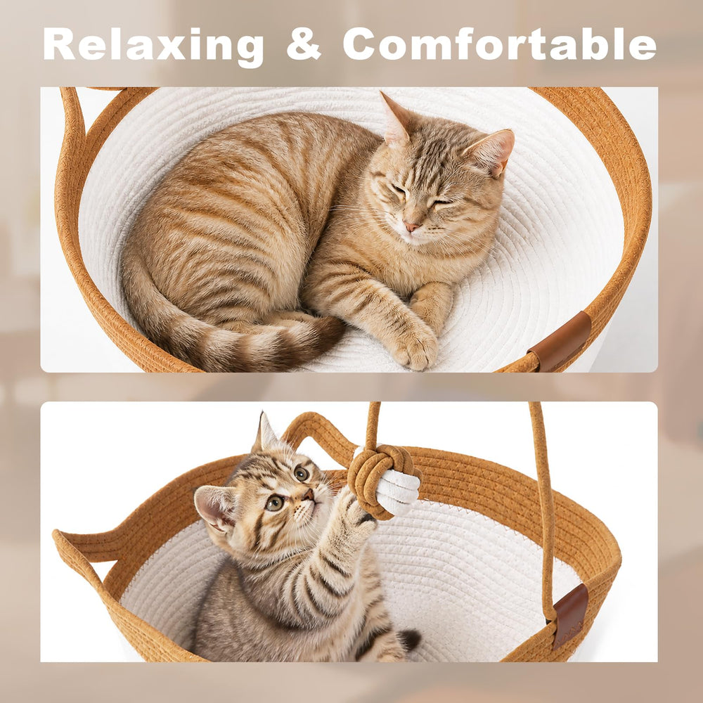 Lyra Stone comparaison taille montrant échelle pour animaux