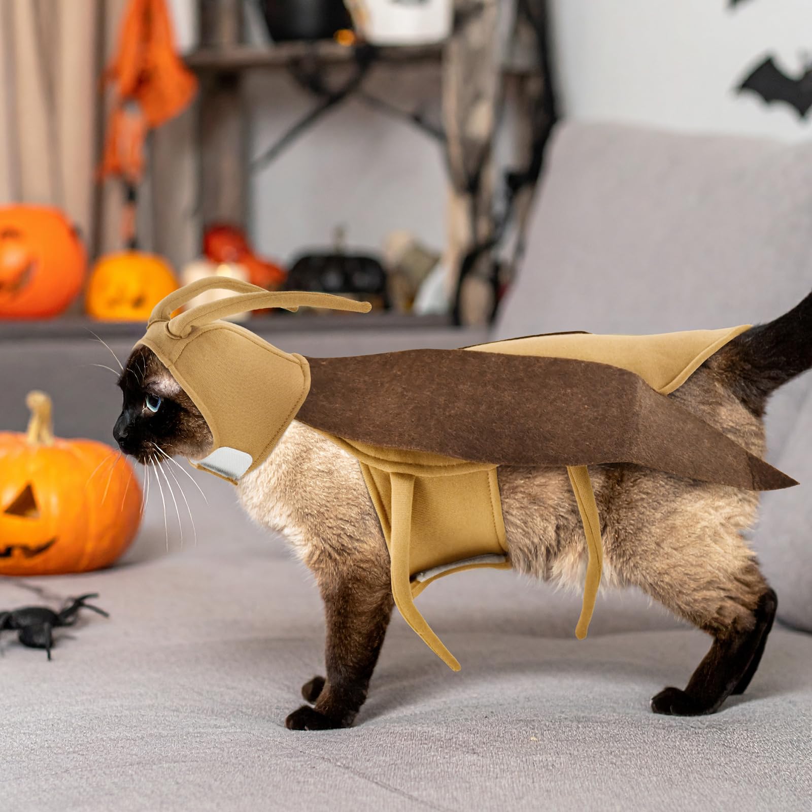 LyssKMK costume cafard gros plan sur feutrine et texture pour confort et style