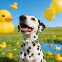 M MACA BATES gros plan imprimé de canards pour un look estival accrocheur