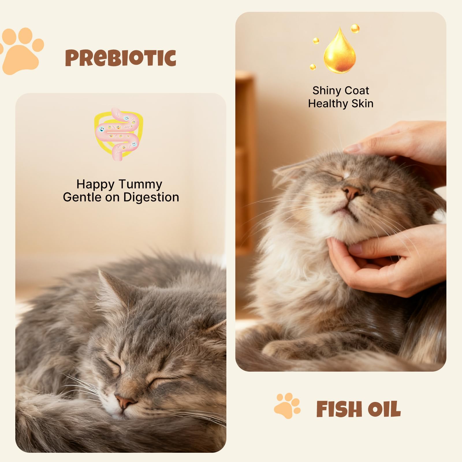 M-PETS étiquette avec informations nutritionnelles pour transparence et choix éclairé