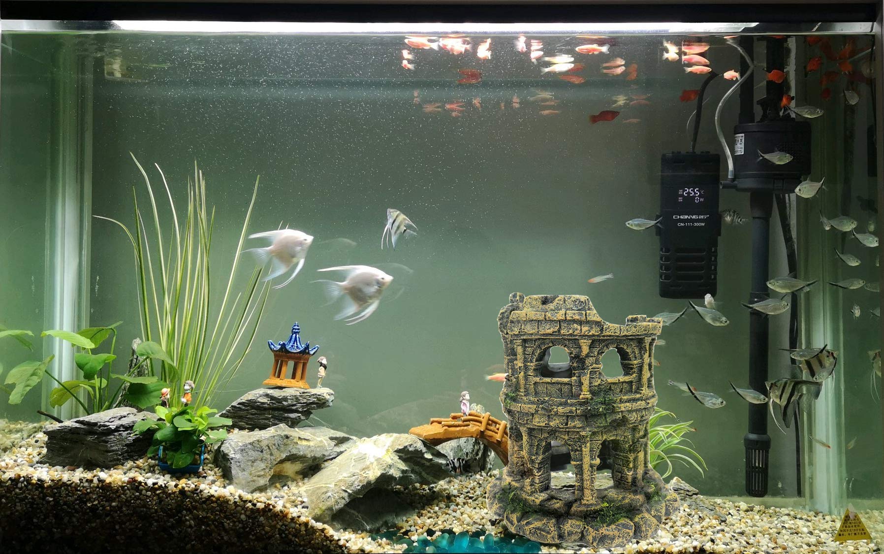M2cbridge colonne romaine intégrée décor aquascape améliore ambiance