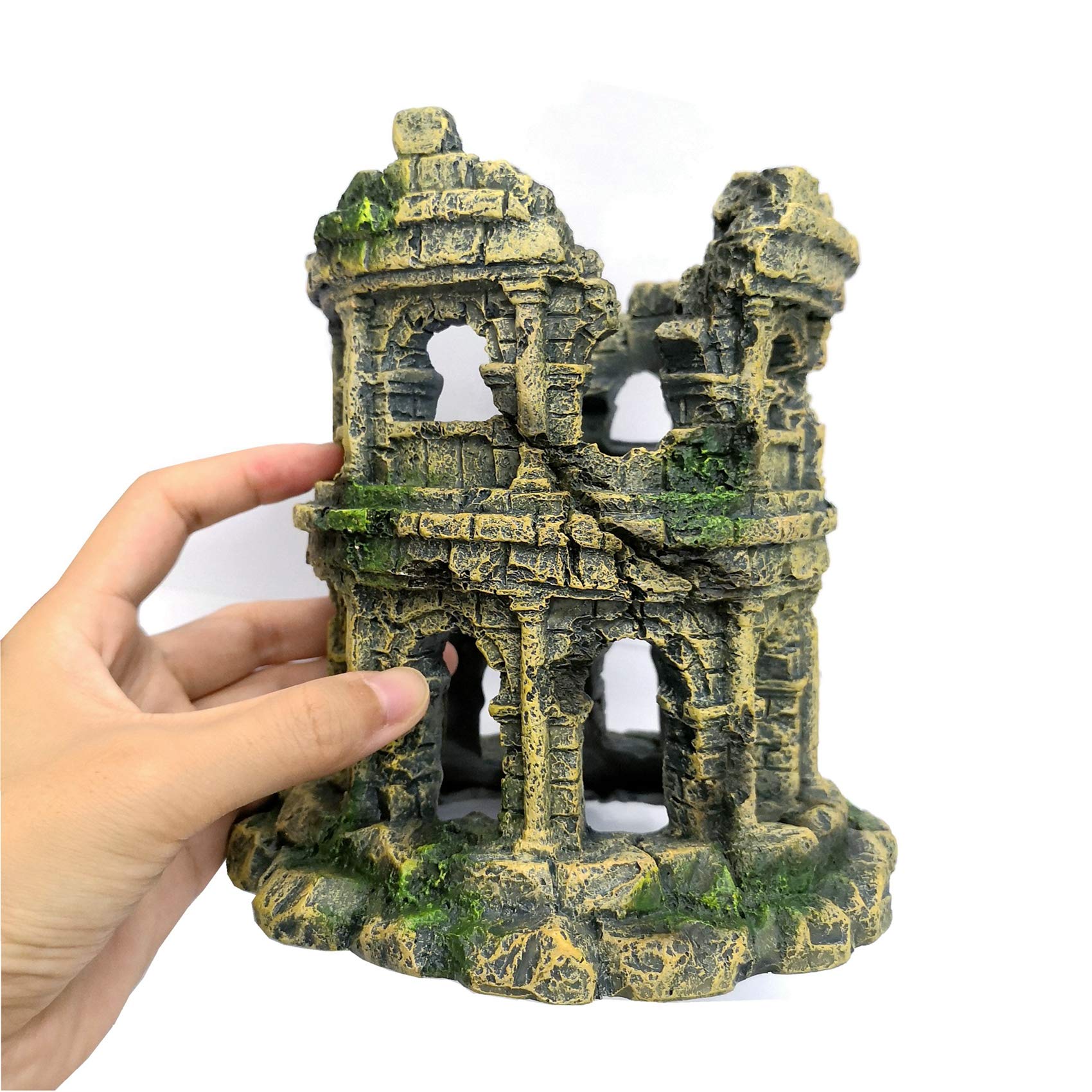 M2cbridge colonne romaine comparaison taille idéale pour aquarium