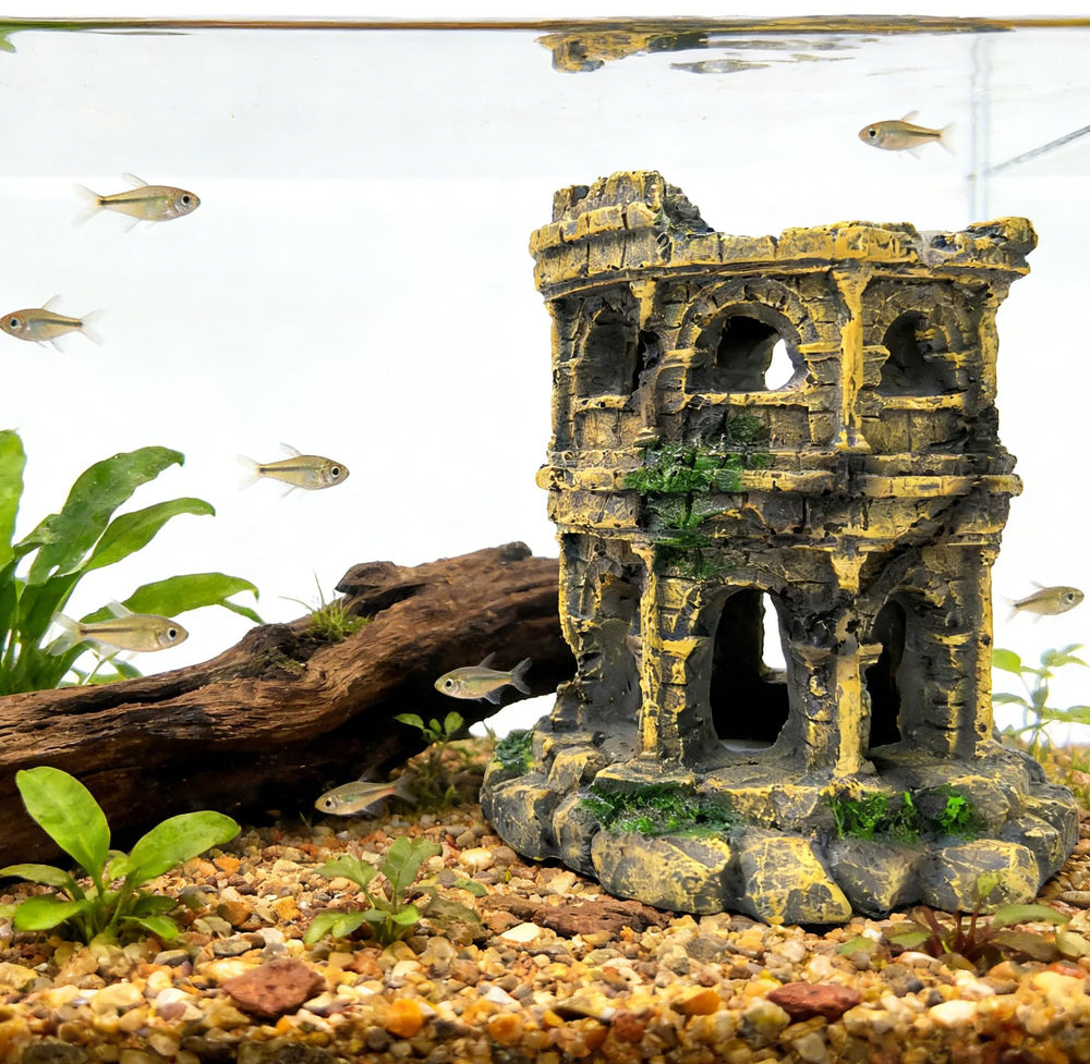 M2cbridge colonne romaine cavité intérieure abri pour poissons