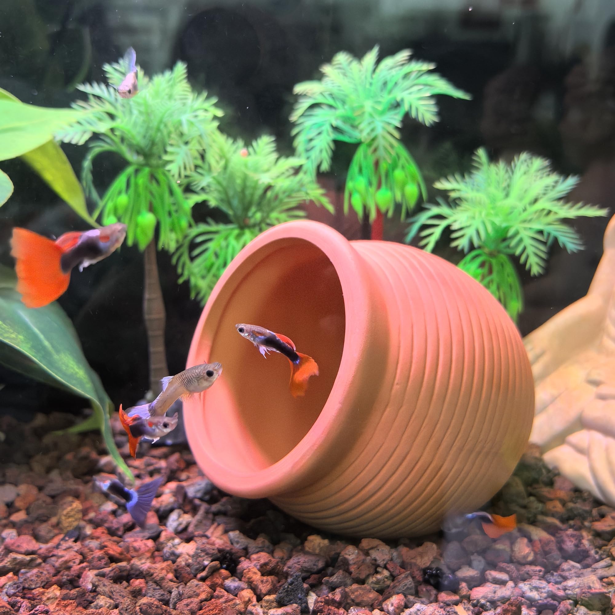 M2cbridge pot à l'échelle pour visualiser taille compacte