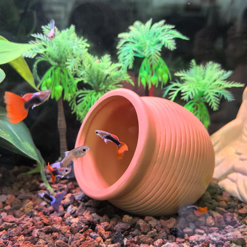 M2cbridge pot à l'échelle pour visualiser taille compacte