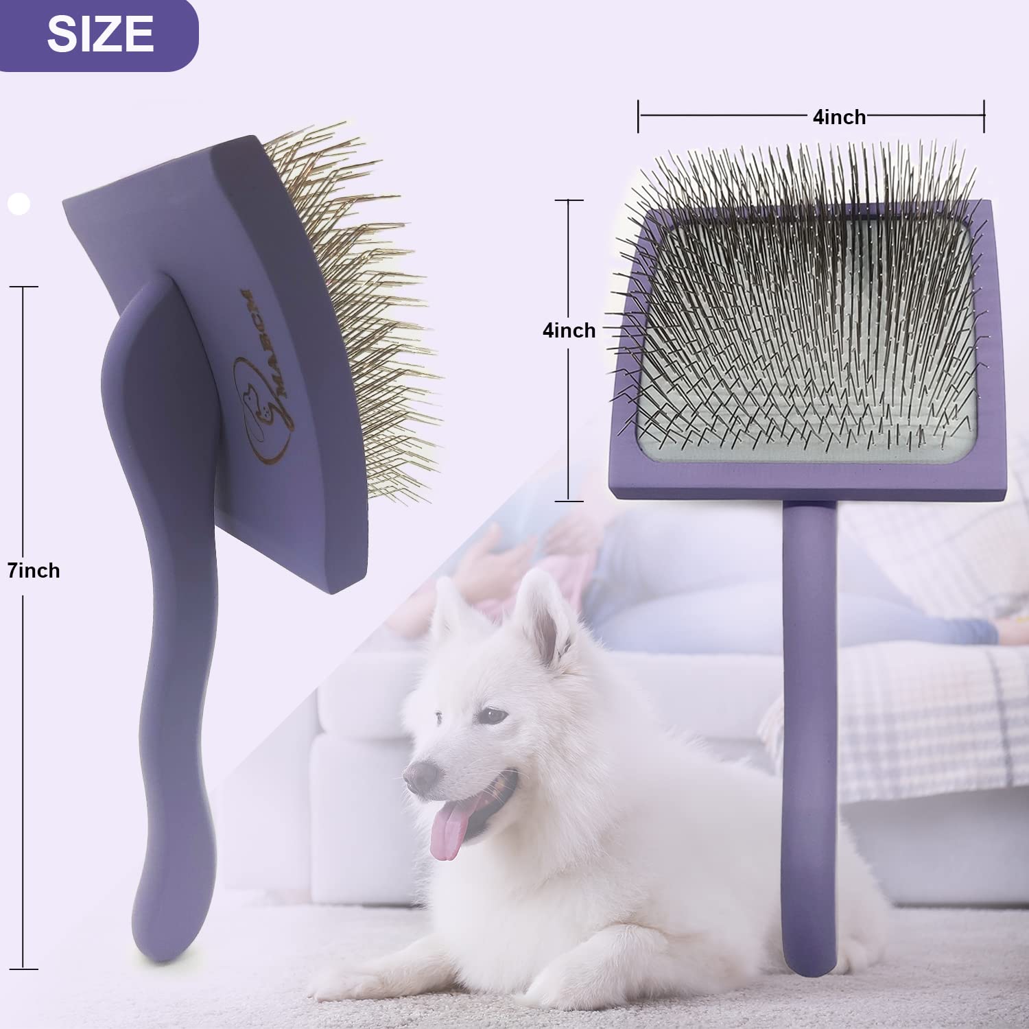 MABCM brosse utilisée sur Goldendoodle démêle efficacement