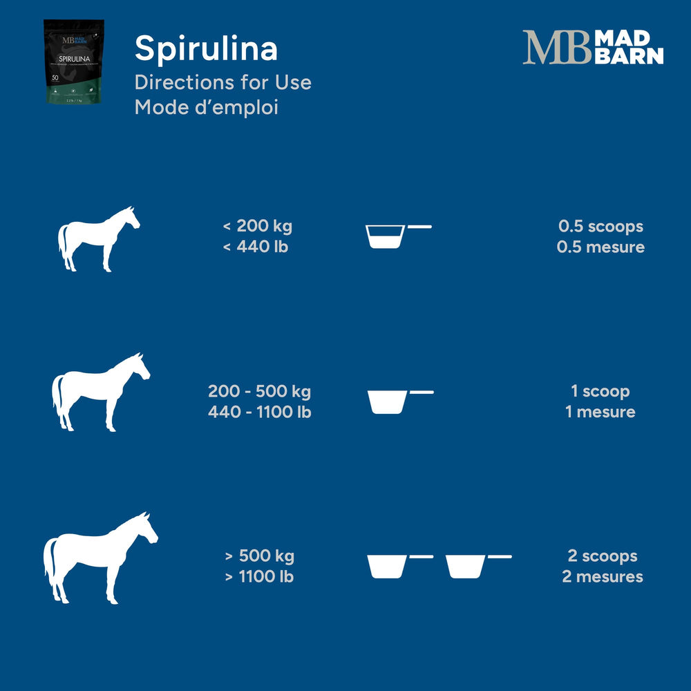 Mad Barn spirulina sac de 1 kg posé à côté d'un seau pour visualiser la quantité utile