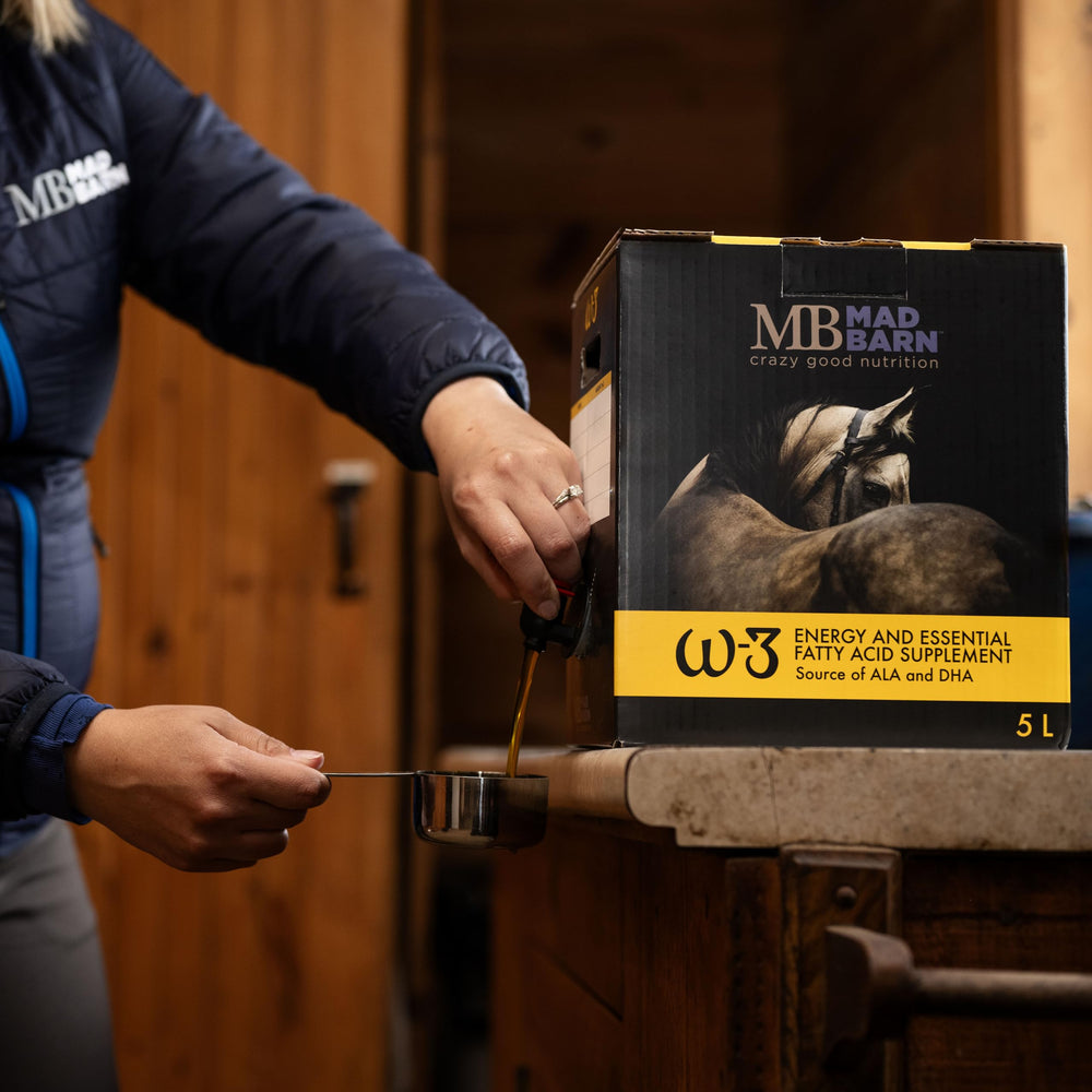 Mad Barn bouteille W-3 Oil posée près d'un cheval illustrant usage pratique au box