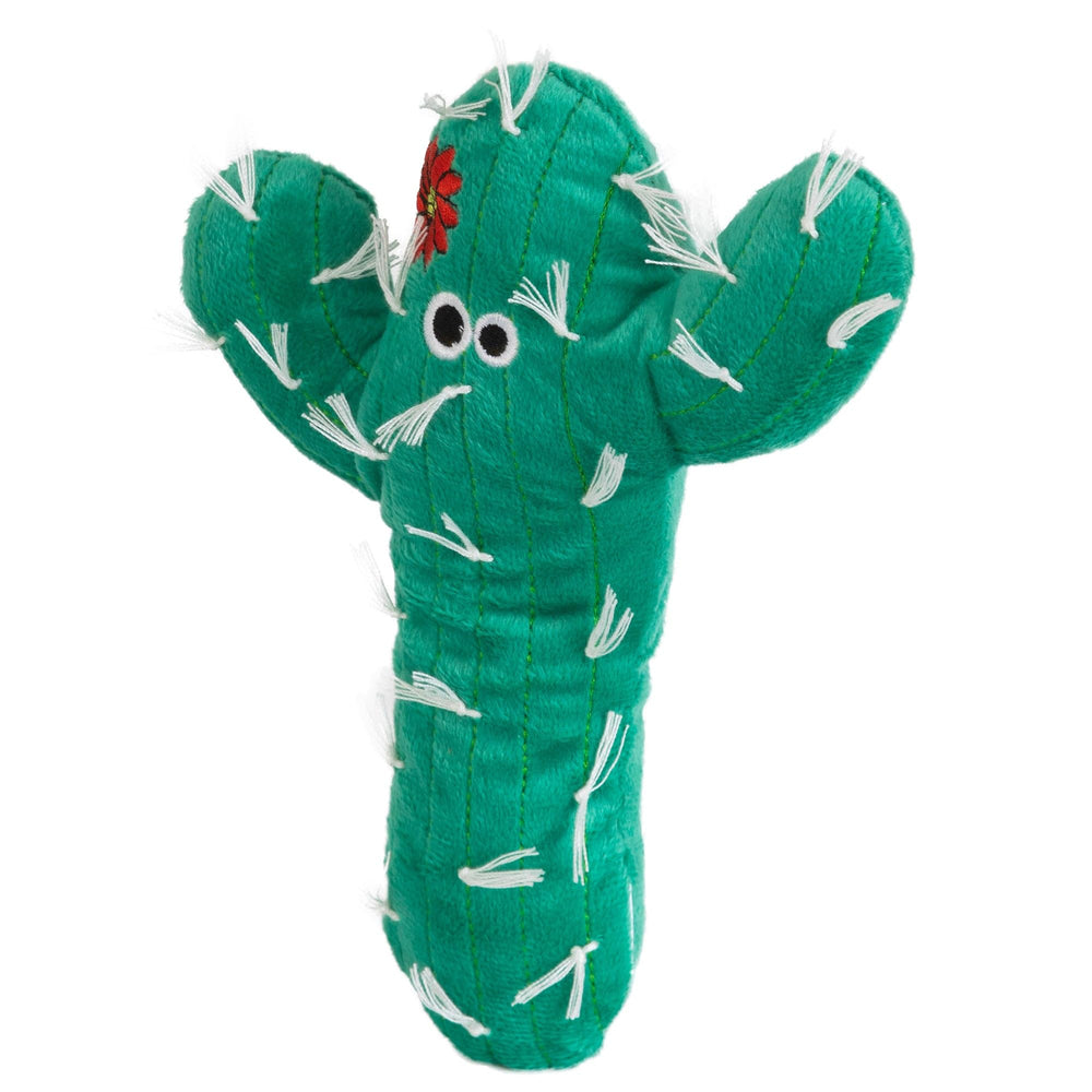 Mad Cat gros cactus gros plan sur la texture et le crinkle pour stimulation