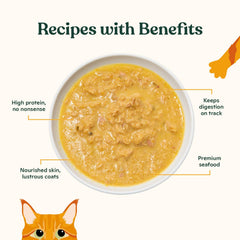 Made by Nacho bouillon infusé à la citrouille hydratation naturelle pour chat