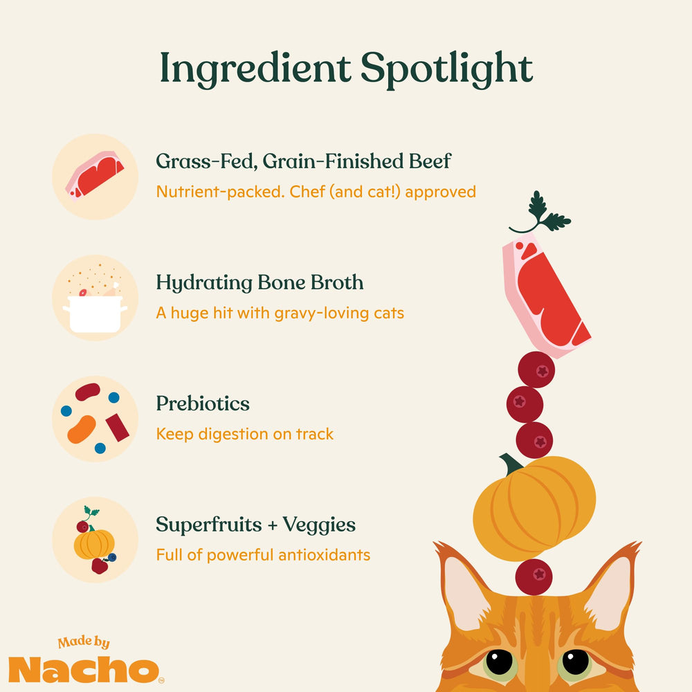 Made by Nacho chat mangeant la pâtée montrant plaisir et apport hydrique