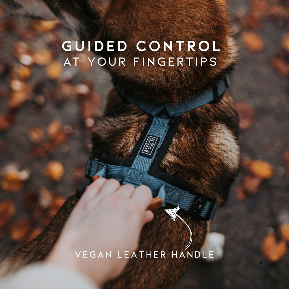 MADE TO ROAM étiquette et coutures renforcées pour longévité