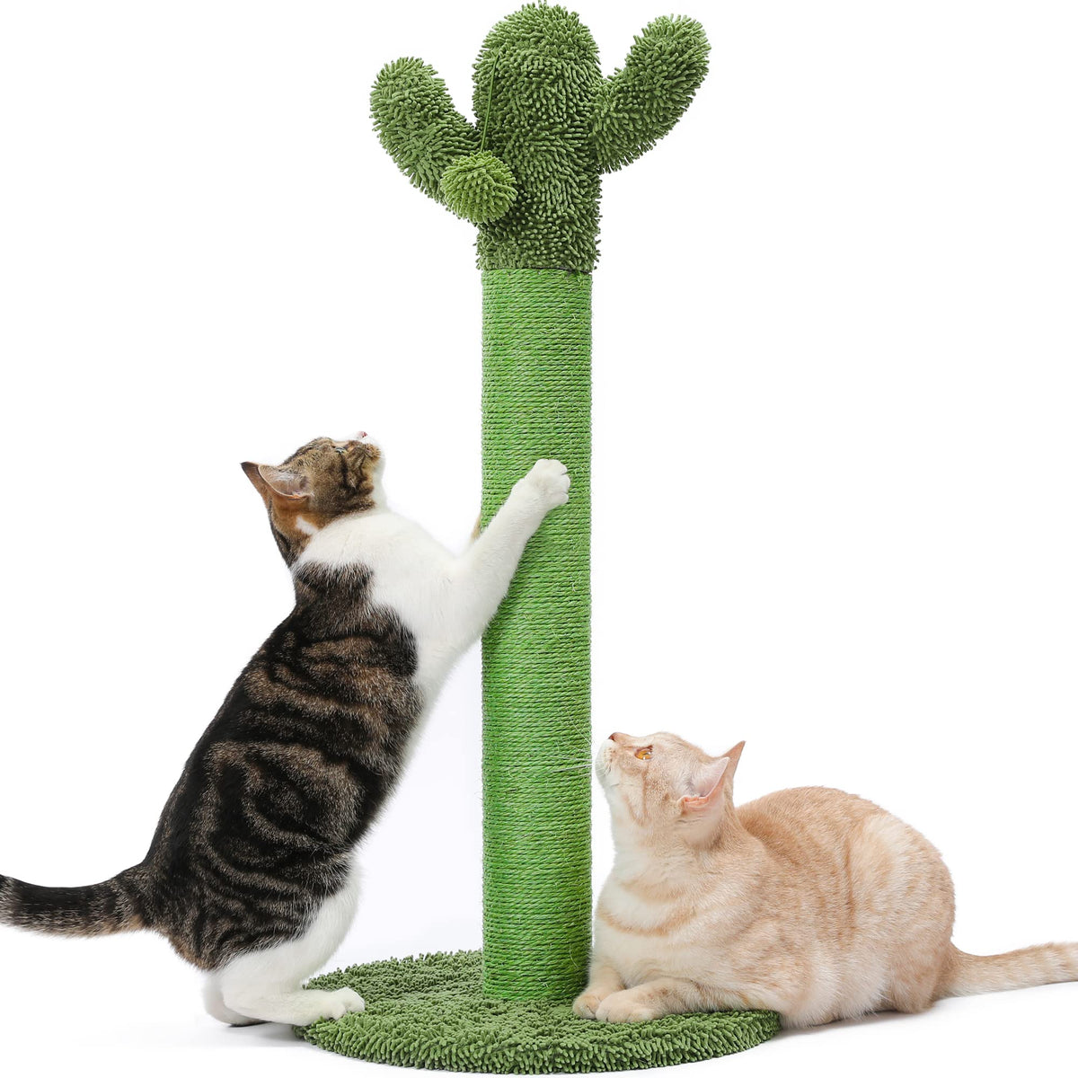 Made4Pets cactus face avant montrant design décoratif et solidité