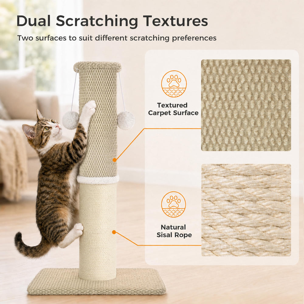 MADE 4 PETS chat utilisant le poteau, encourage exercice et étirement
