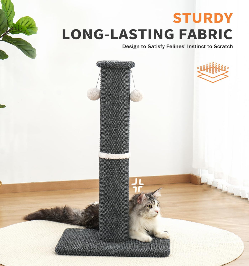 MADE 4 PETS intégré dans salon style minimaliste et discret