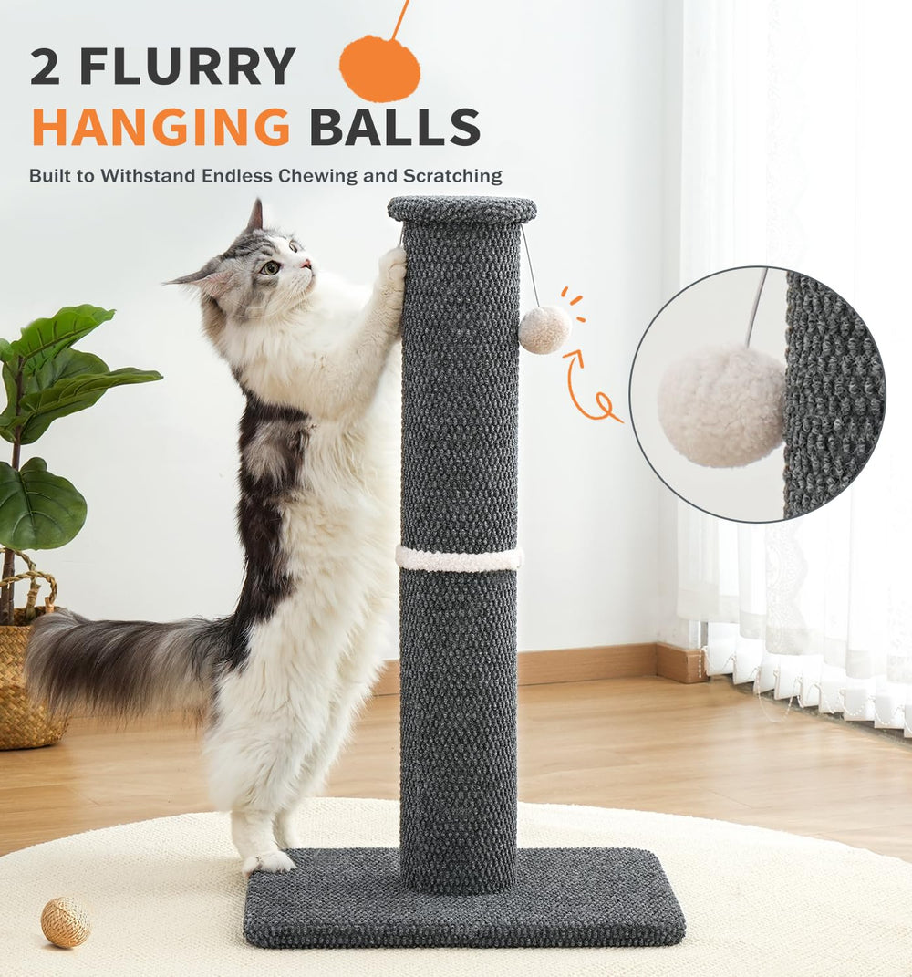 MADE 4 PETS comparaison de taille montrant 23,6 pouces