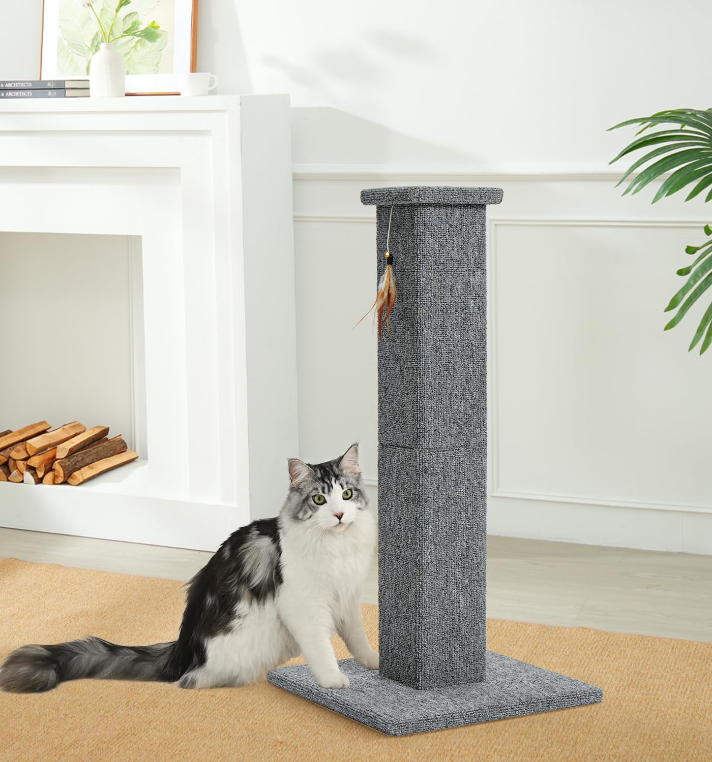 MADE 4 PETS emballage compact et guide d'assemblage pour montage rapide