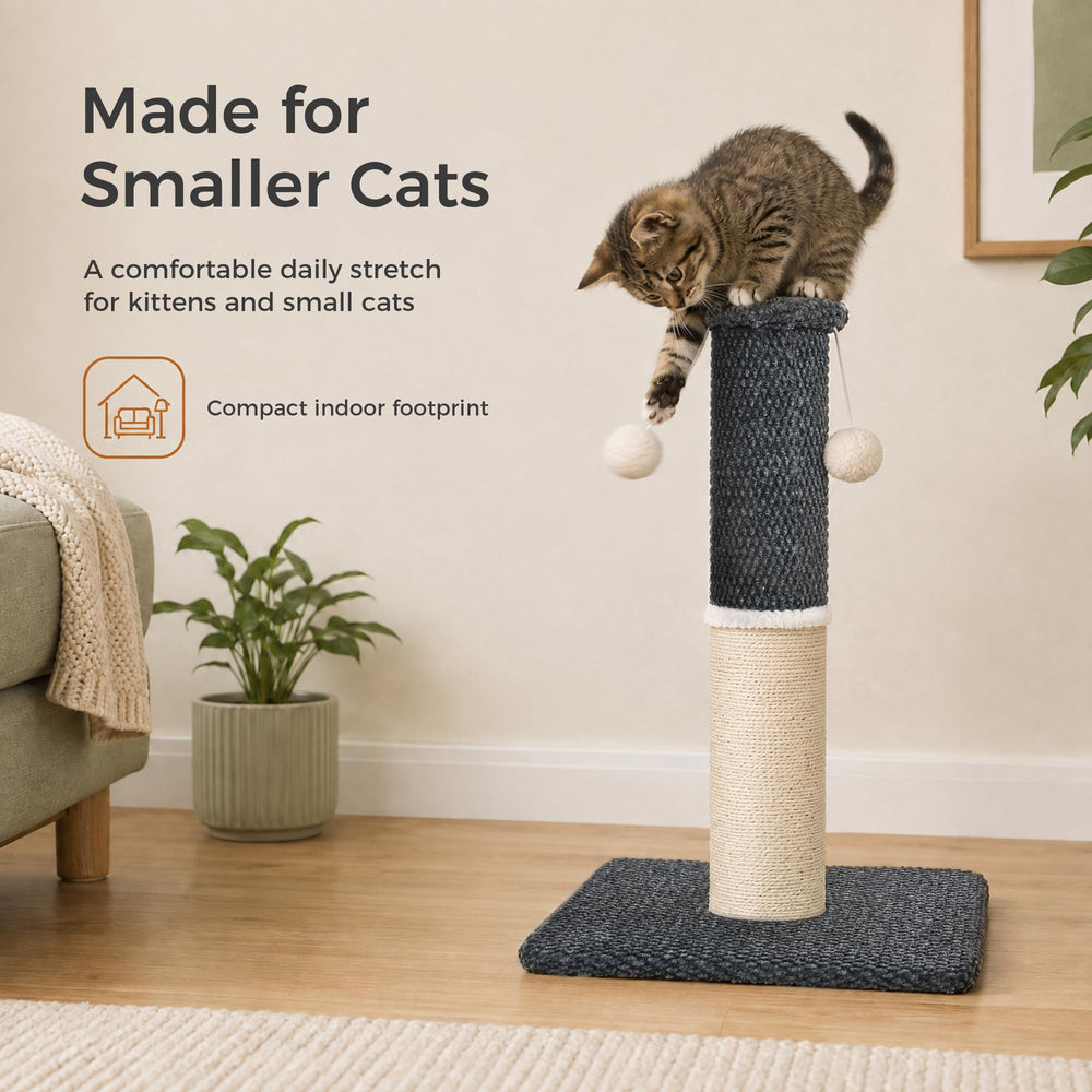 Made4Pets gros plan sisal naturel offrant abrasion efficace des griffes