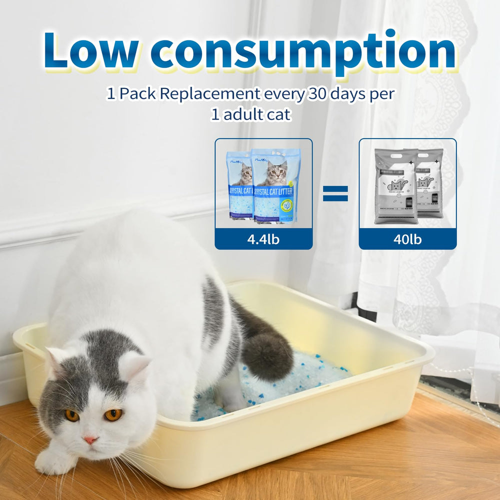 MADE 4 PETS litière versée dans un bac montrant compatibilité et finition