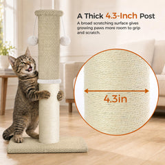 MADE 4 PETS zone inférieure en tapis doux, confort et protection meubles