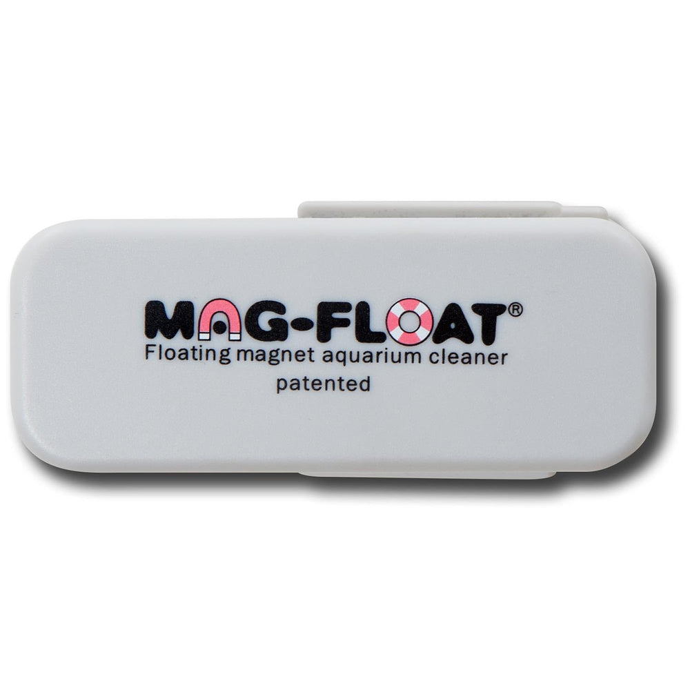 Mag-Float comparaison d'échelle avec une main pour visualiser la taille